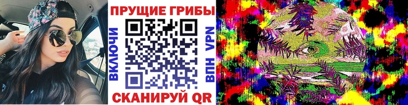 наркота  Геленджик  Псилоцибиновые грибы мухоморы 