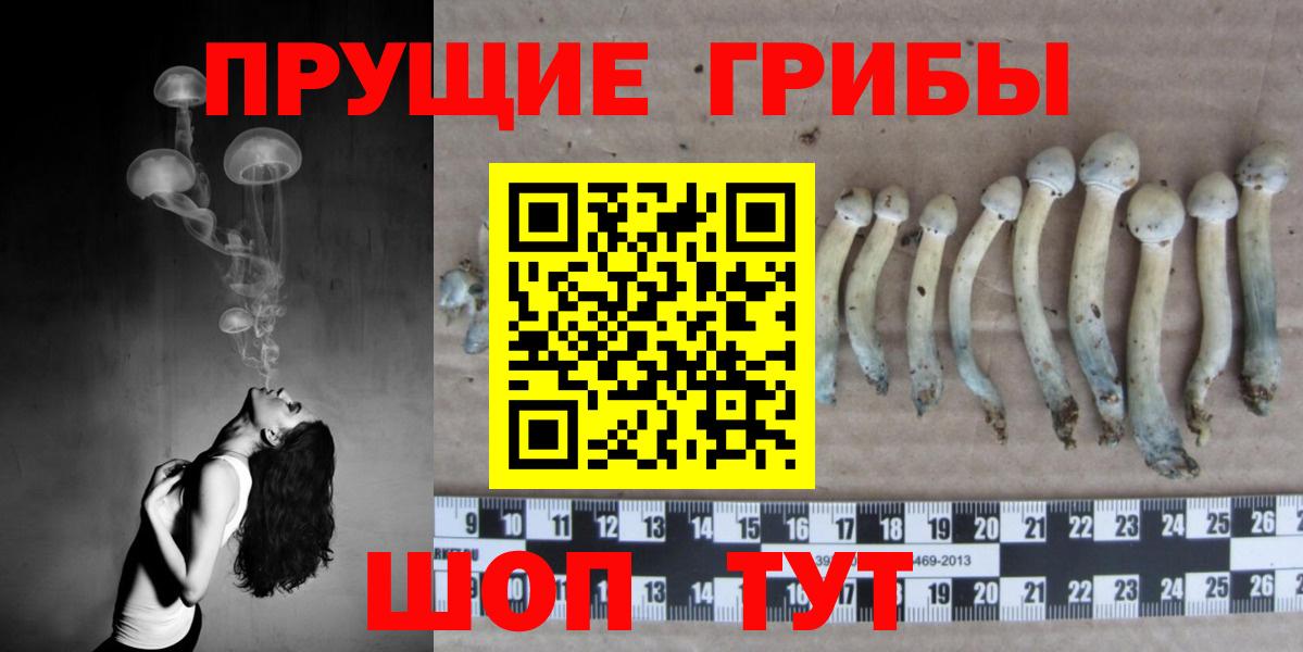 Галлюциногенные грибы Cubensis Геленджик